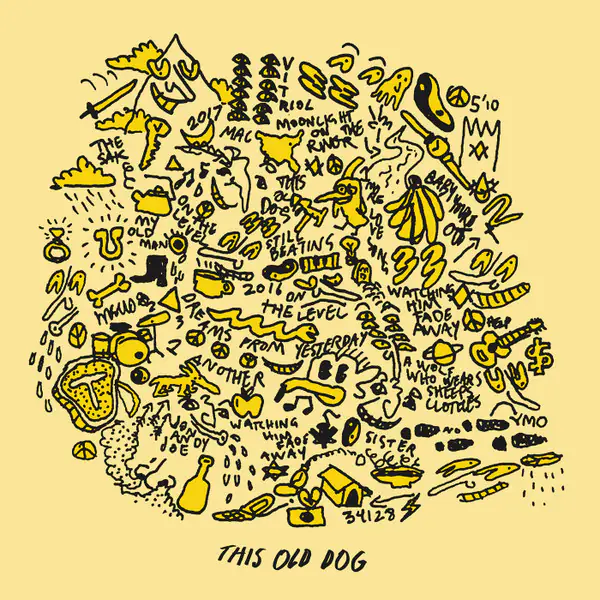 Вінілова платівка Mac DeMarco — This Old Dog