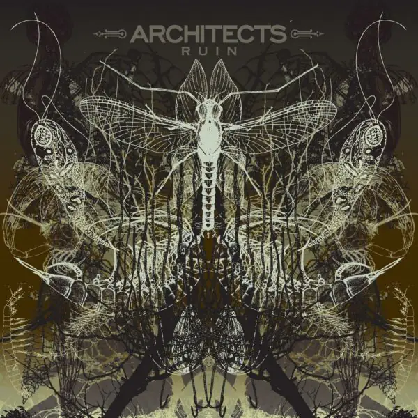 Вінілова платівка Architects — Ruin
