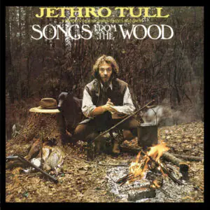Songs From The Wood