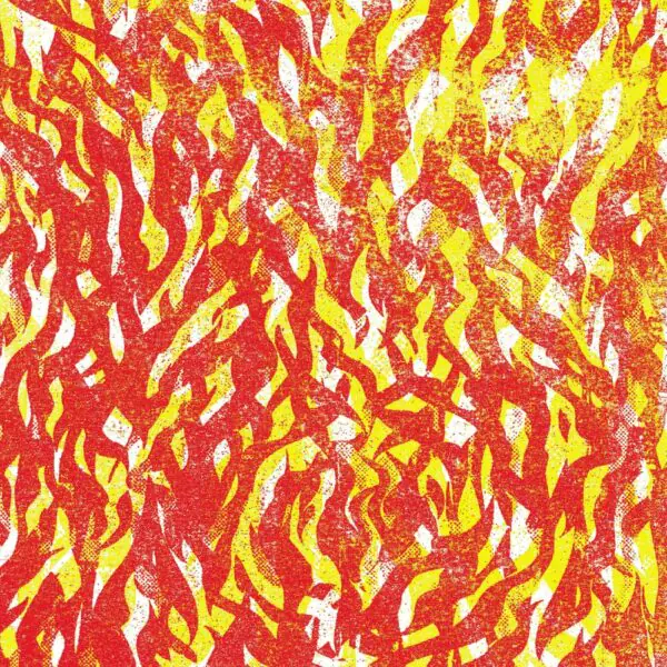 Виниловая пластинка The Bug — Fire