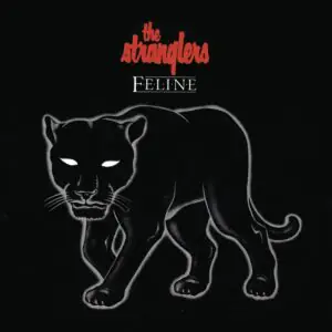 Feline