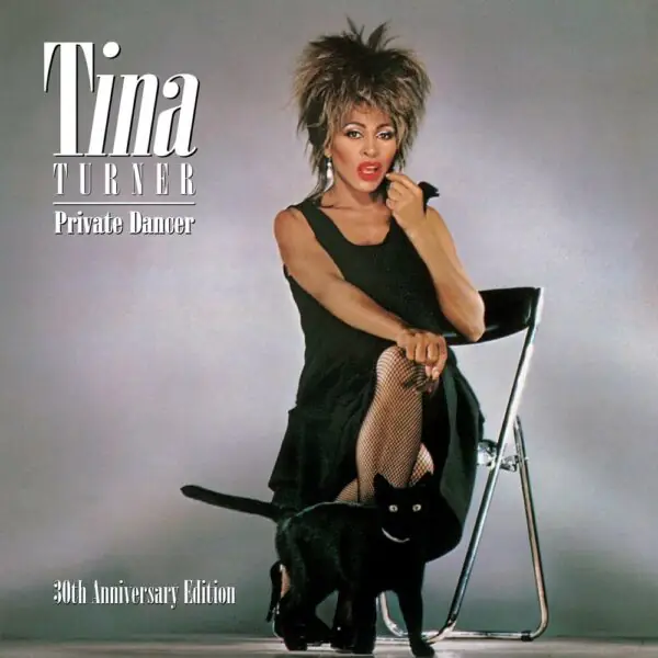 Виниловая пластинка Tina Turner — Private Dancer